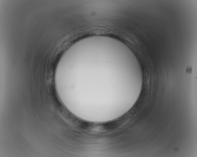 X0000113910507200909241309