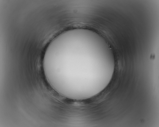 X0000113910508200909241309