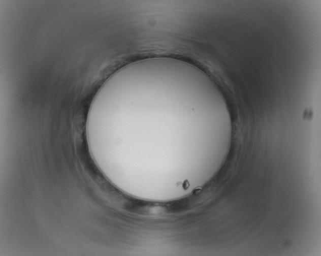 X0000113910509200909241309