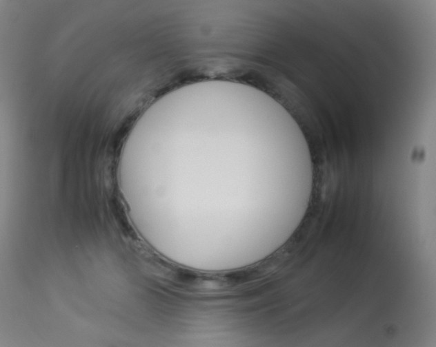 X0000113910510200909241309