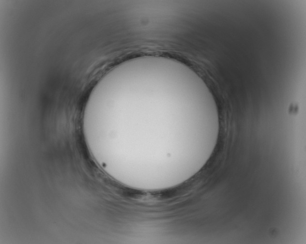 X0000113910511200909241309