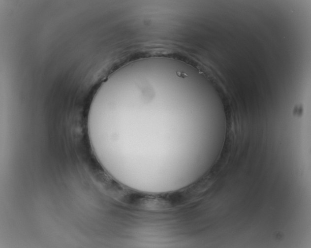 X0000113910512200909241309