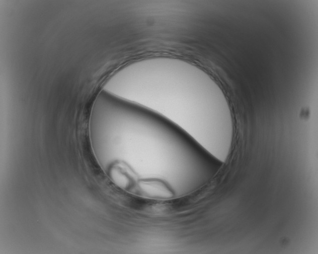 X0000113910513200909241309