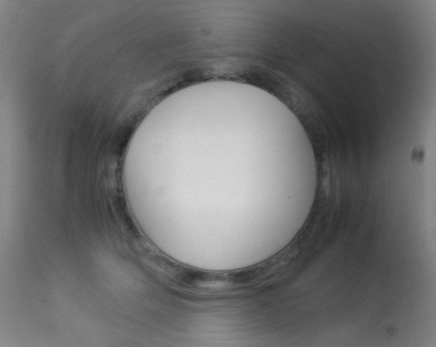 X0000113910514200909241309