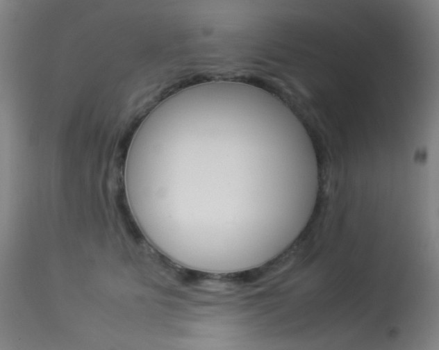 X0000113910515200909241309