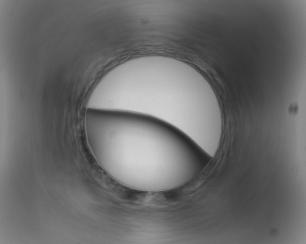 X0000113910517200909241309