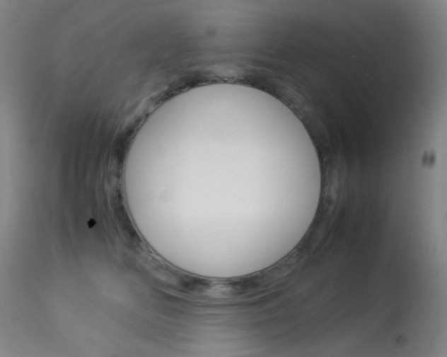 X0000113910518200909241309