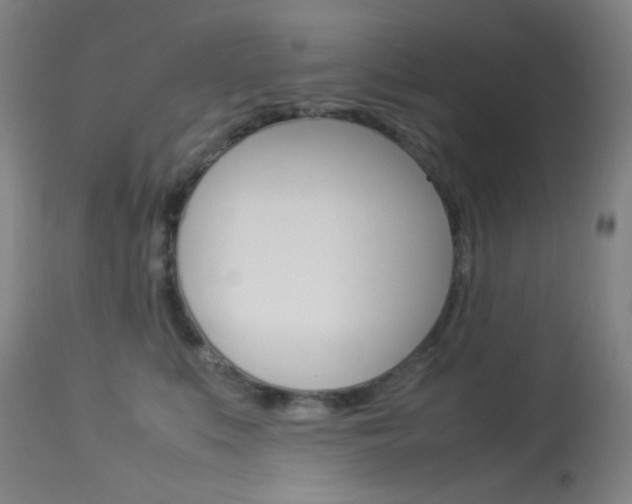 X0000113910519200909241309