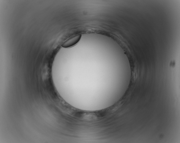 X0000113910520200909241309