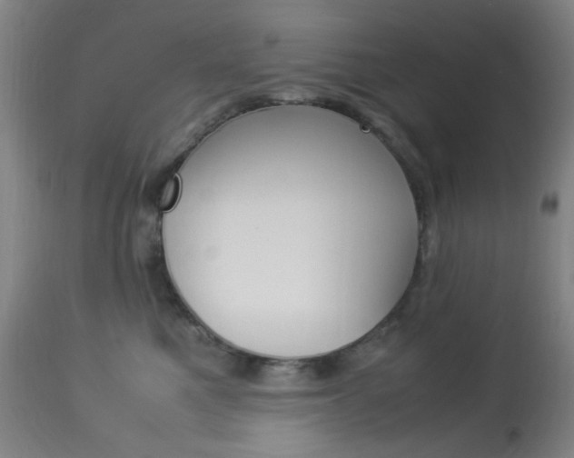X0000113910521200909241309