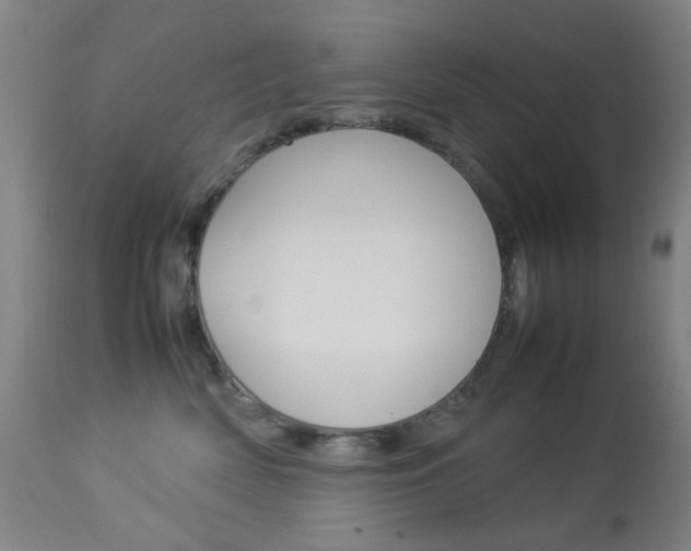 X0000113910522200909241309