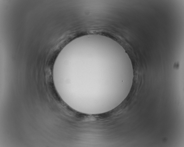 X0000113910523200909241309