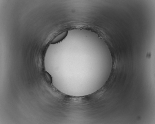 X0000113910524200909241309
