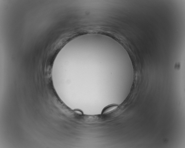 X0000113910525200909241309
