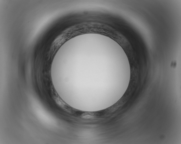 X0000113910526200909241308