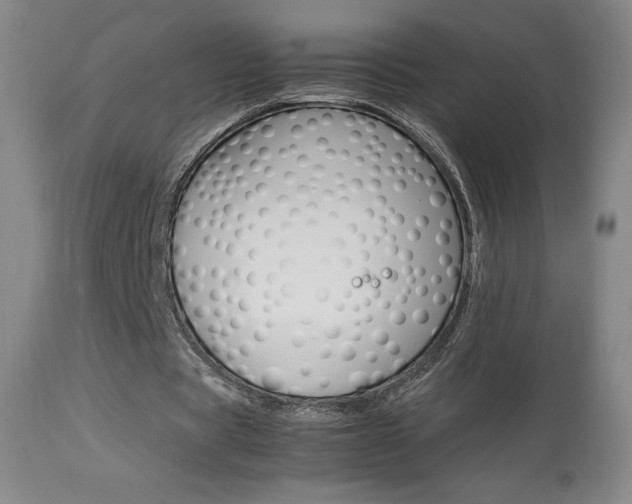 X0000113910529200909241308