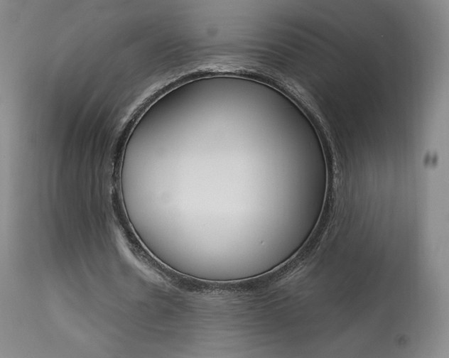 X0000113910530200909241308