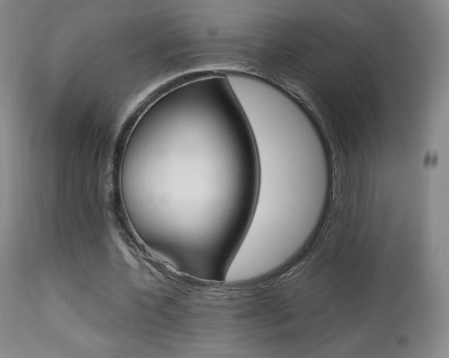 X0000113910532200909241308