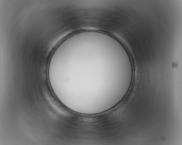 X0000113910533200909241308
