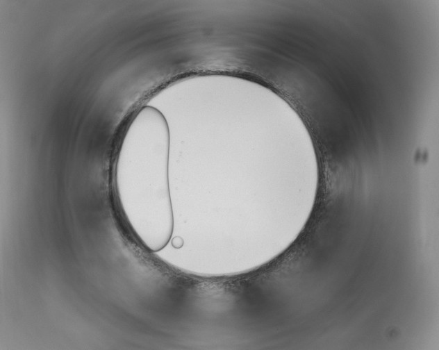 X0000113910534200909241308
