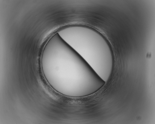 X0000113910535200909241308