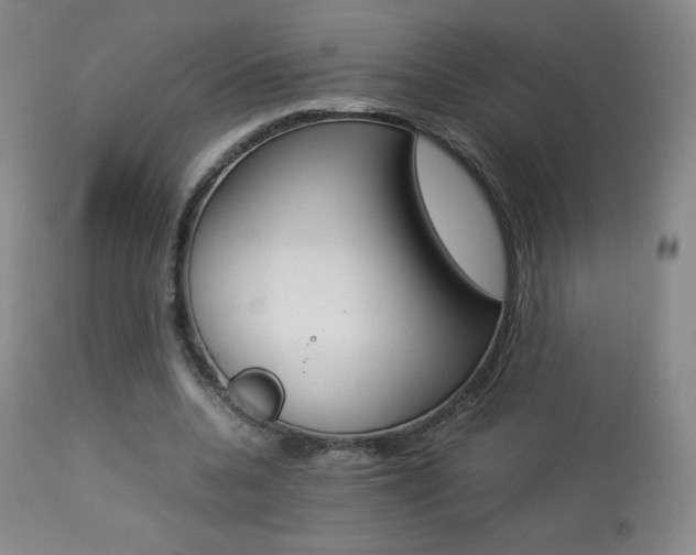 X0000113910536200909241308