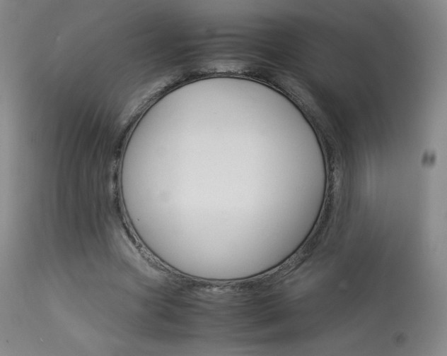 X0000113910537200909241308