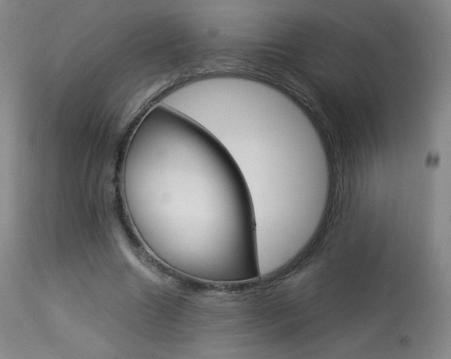 X0000113910538200909241308