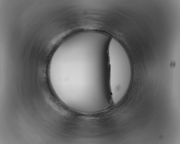 X0000113910539200909241308