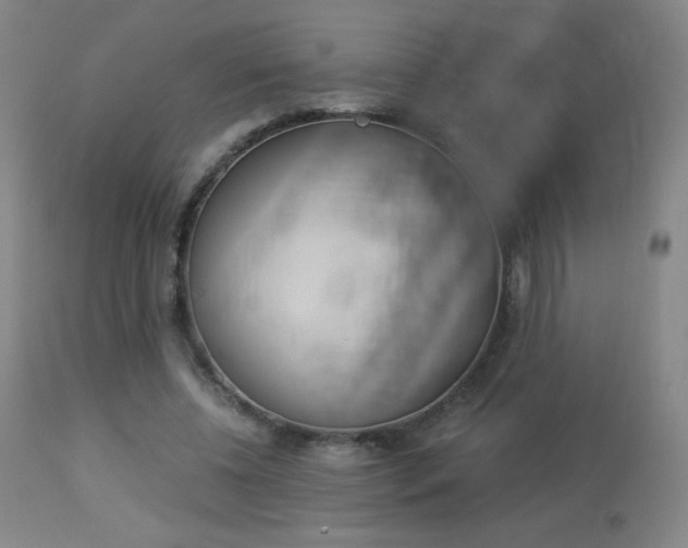 X0000113910540200909241308