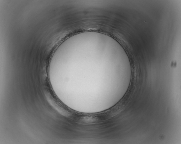 X0000113910541200909241308