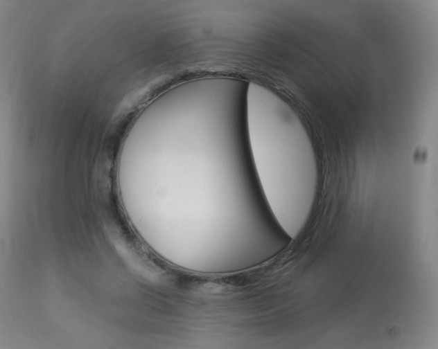 X0000113910542200909241308