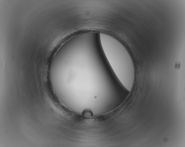 X0000113910544200909241308