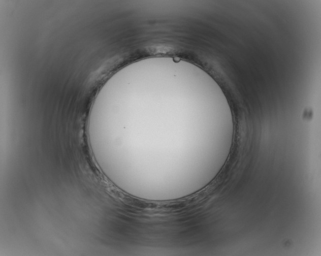 X0000113910545200909241308