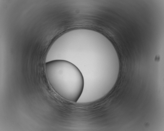 X0000113910546200909241308