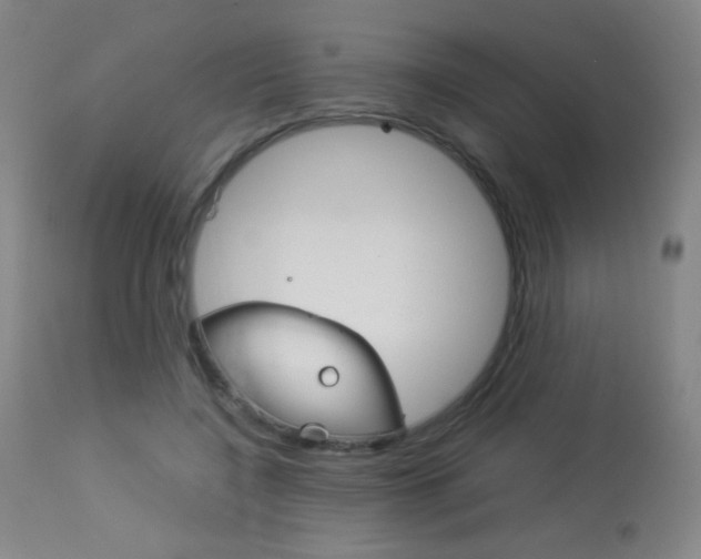 X0000113910548200909241308