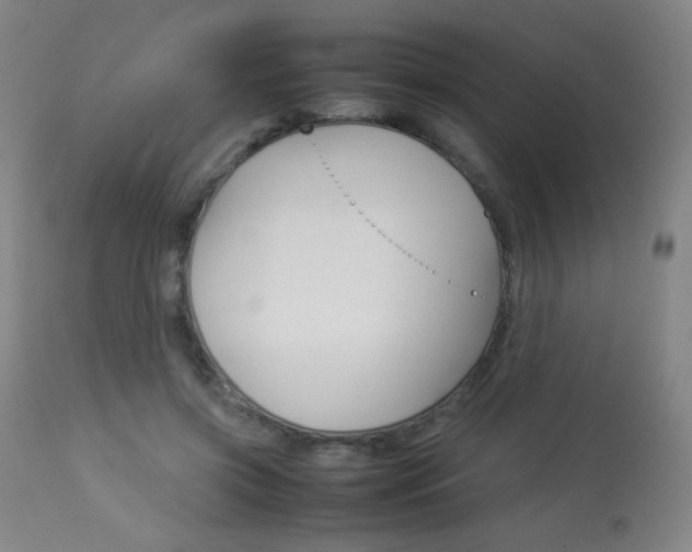 X0000113910549200909241308