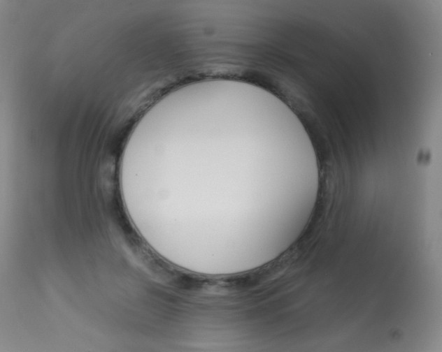 X0000113910550200909241308
