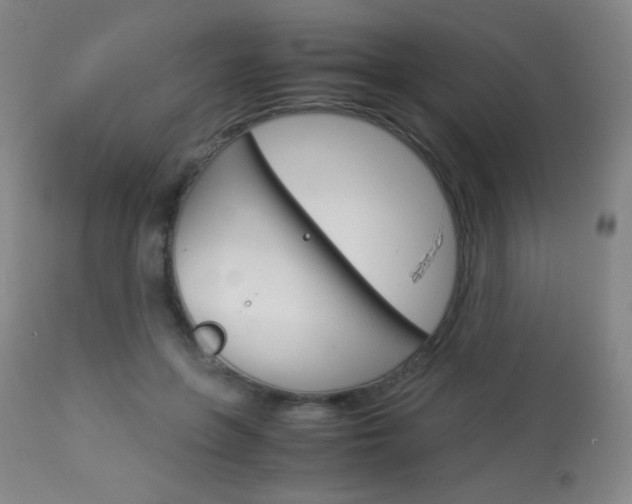 X0000113910551200909241308