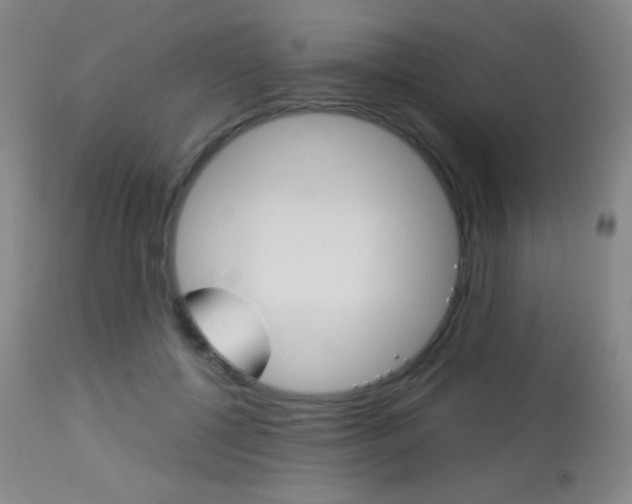 X0000113910552200909241308