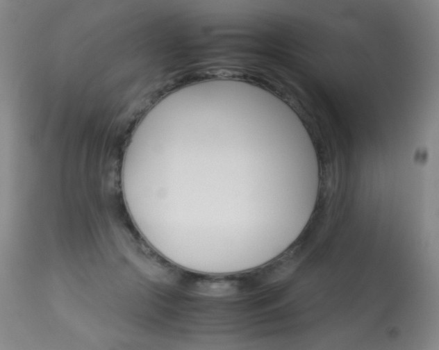 X0000113910553200909241308