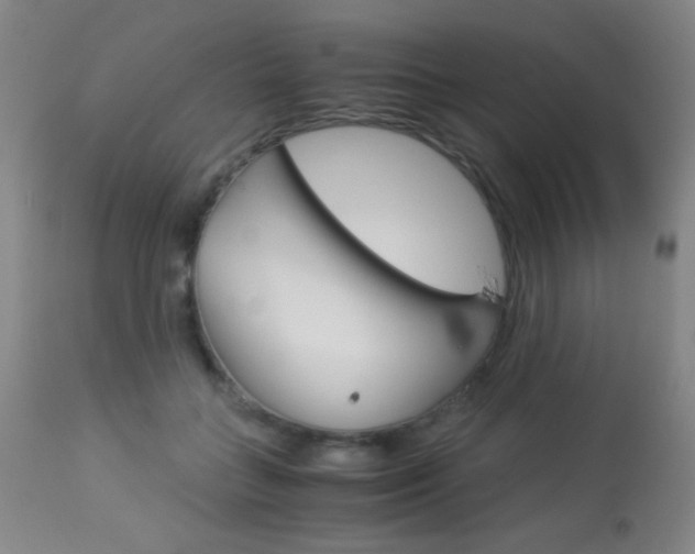 X0000113910555200909241308