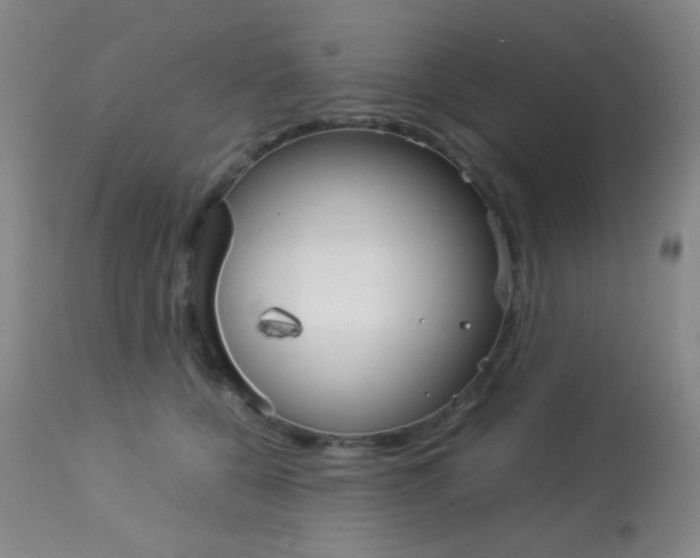 X0000113910560200909241308