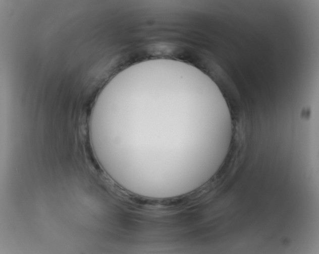 X0000113910561200909241308
