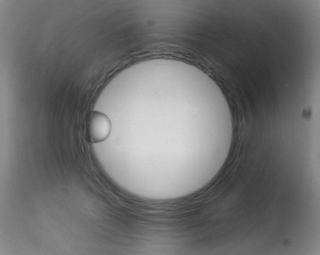 X0000113910562200909241308