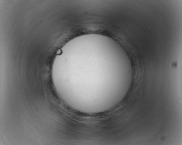 X0000113910563200909241308