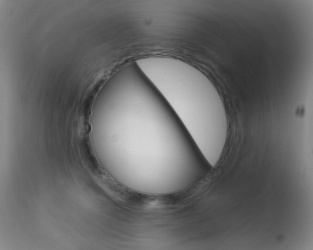 X0000113910564200909241308