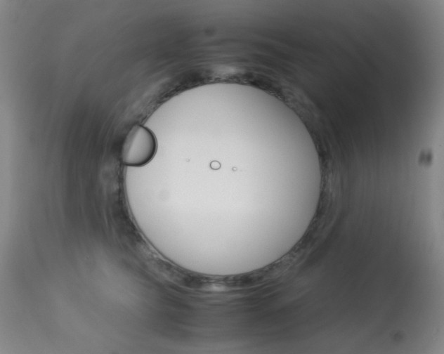 X0000113910565200909241308