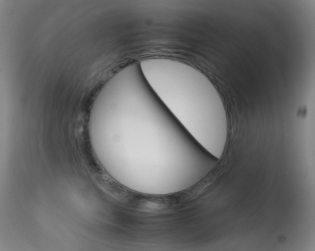 X0000113910567200909241308