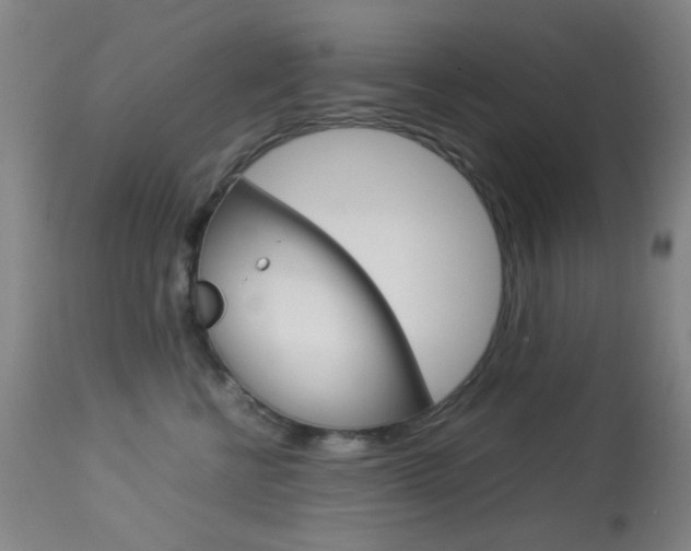 X0000113910570200909241308